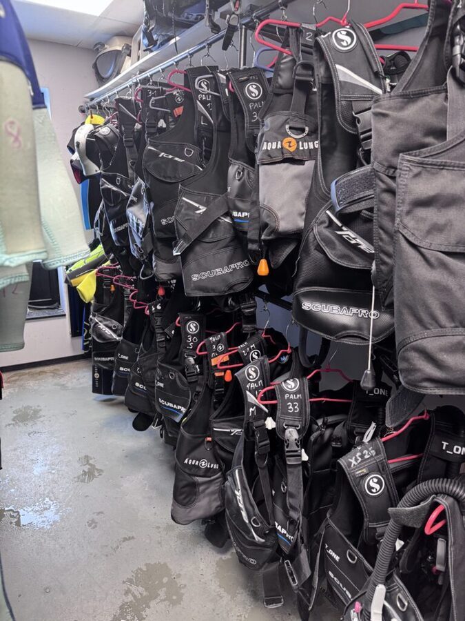 Gilets stabilisateurs BCD du club P.A.L.M.